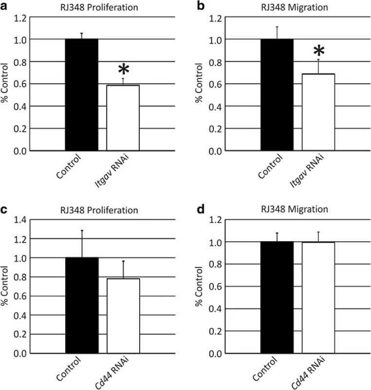Quantification of (a, c) phospho-histone H3 immunofluorescence, (b) transwell migration and (d) scratch wound closure in RJ348 cells following treatment with (a, b) siRNA targeting <i>Itgav</i> or (c, d) siRNA targeting <i>Cd44</i>. Both proliferation and migration are presented relative to a GC control siRNA. *<i>p</i>˂0.05, n≥3