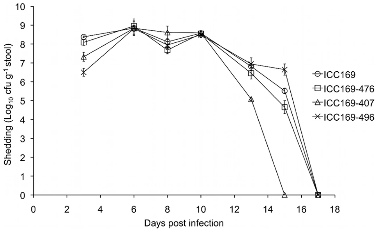Mouse shedding of <i>C. rodentium</i>.