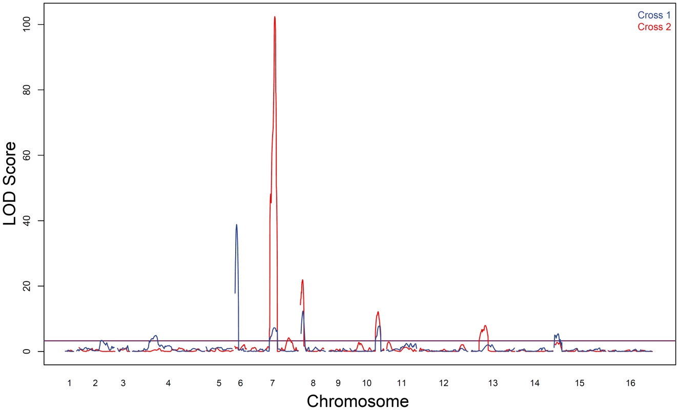 Sporulation efficiency QTL.