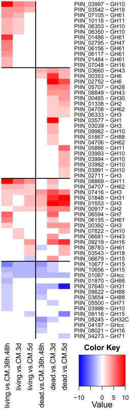 Differentially regulated <i>P. indica</i> hydrolytic enzymes.