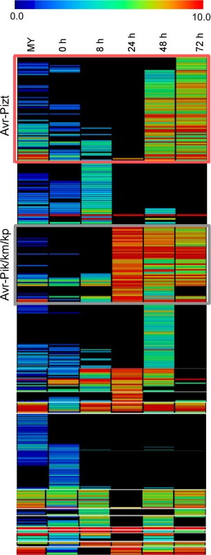 Heat map of 645 small candidate effectors of 98–06.
