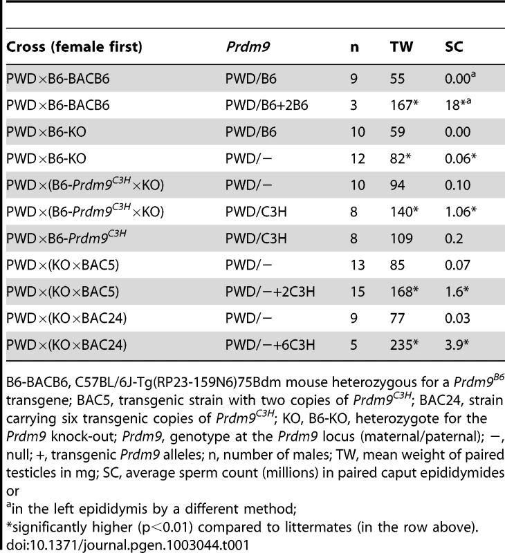 The effect of <i>Prdm9</i> dosage on hybrid sterility.