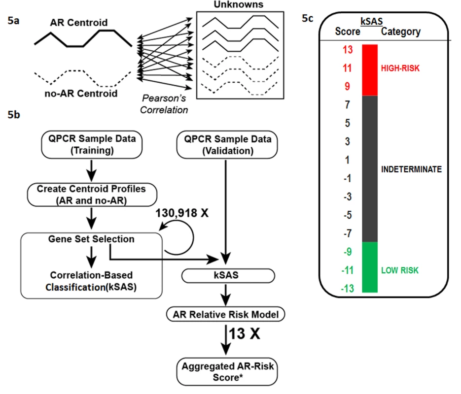Development of kSAS and the kSORT assay.
