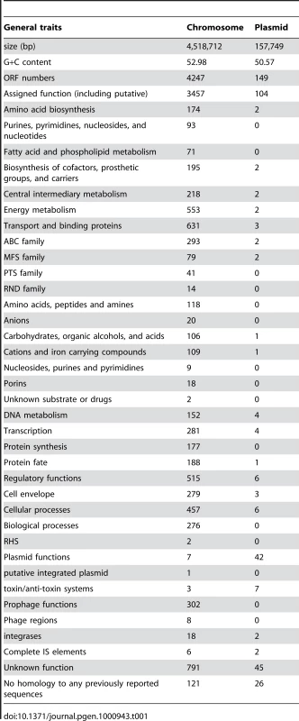 General features of the <i>Enterobacter</i> sp. 638 genome.