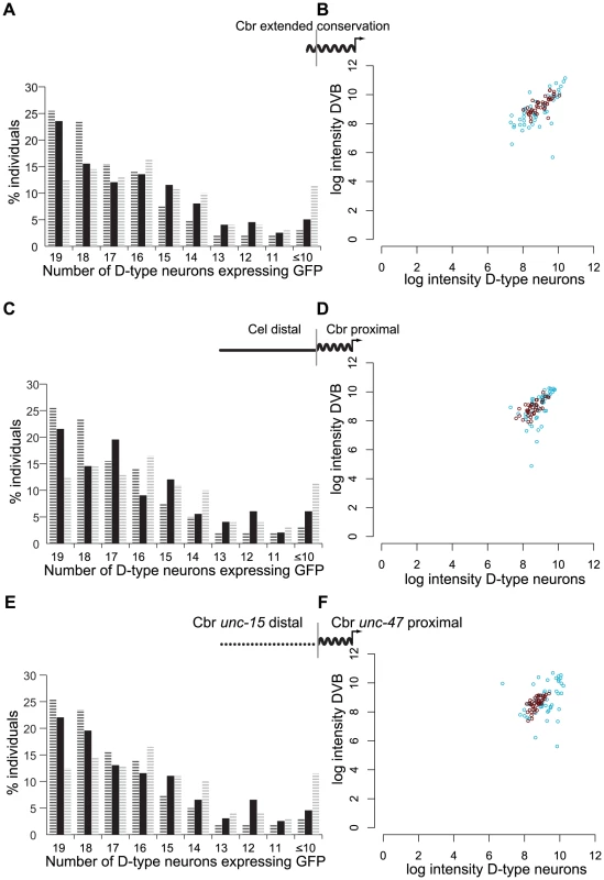 Different components of the distal promoter sequences regulate consistent expression and expression levels under temperature stress.