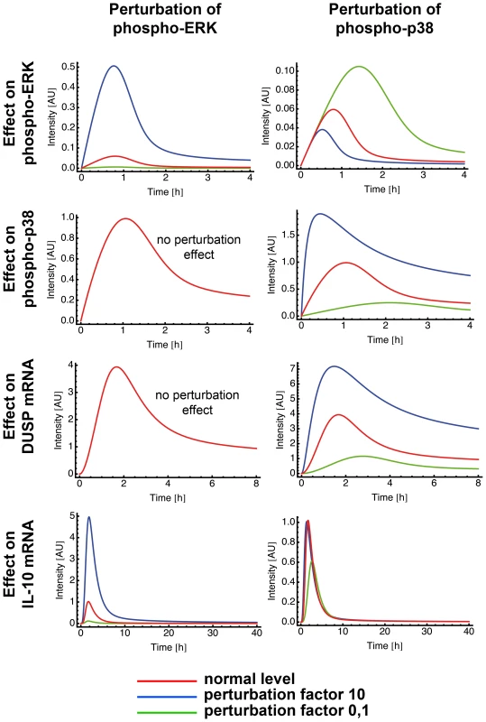 Perturbation of ERK and p38 in the mathematical model.