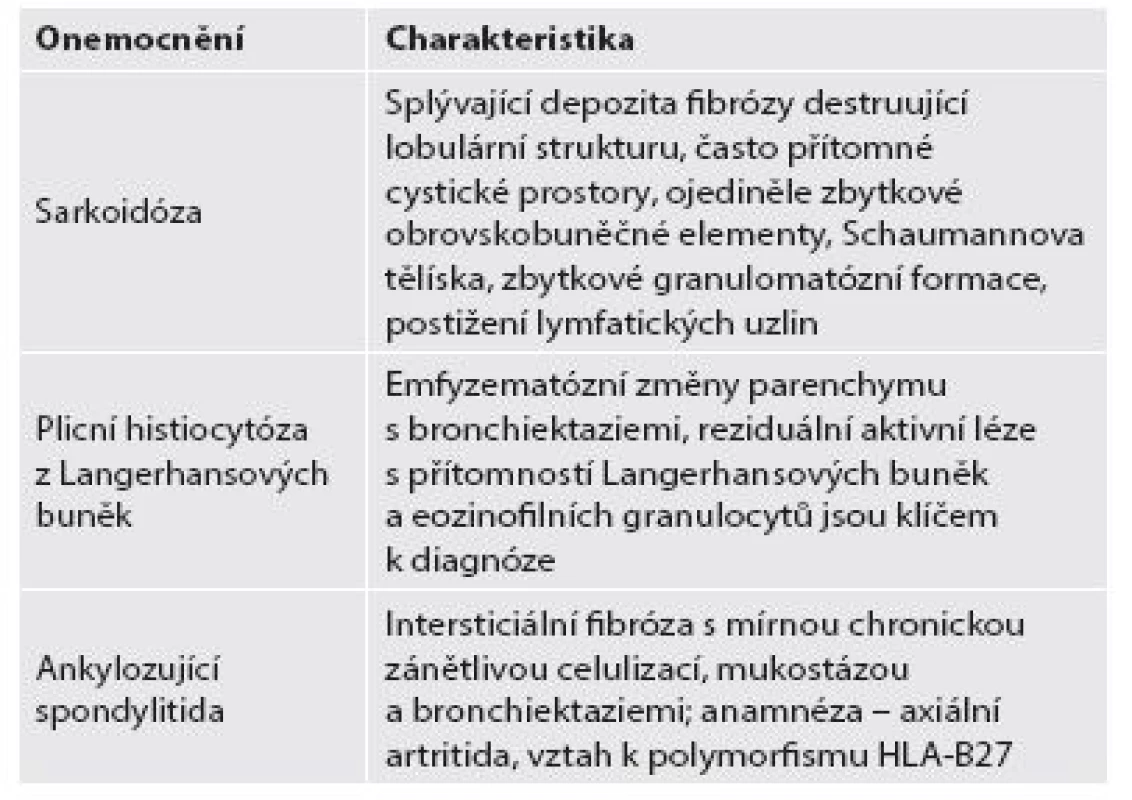 Diferenciální diagnóza lézí s převážně retikulárním typem fibrotizace s predominancí v apikálních oblastech.