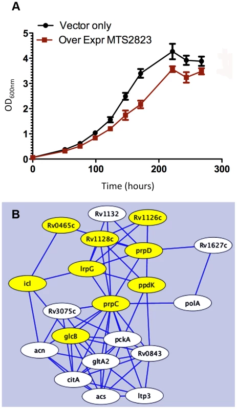 Over-expression of MTS2823.