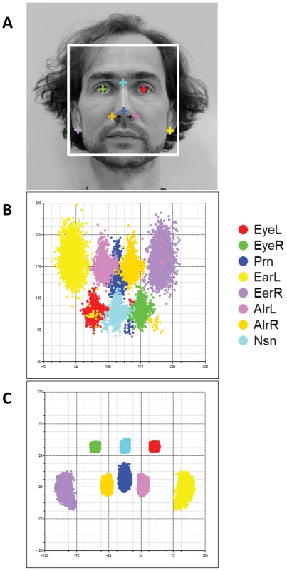 Facial landmarks from 2D portrait photos.