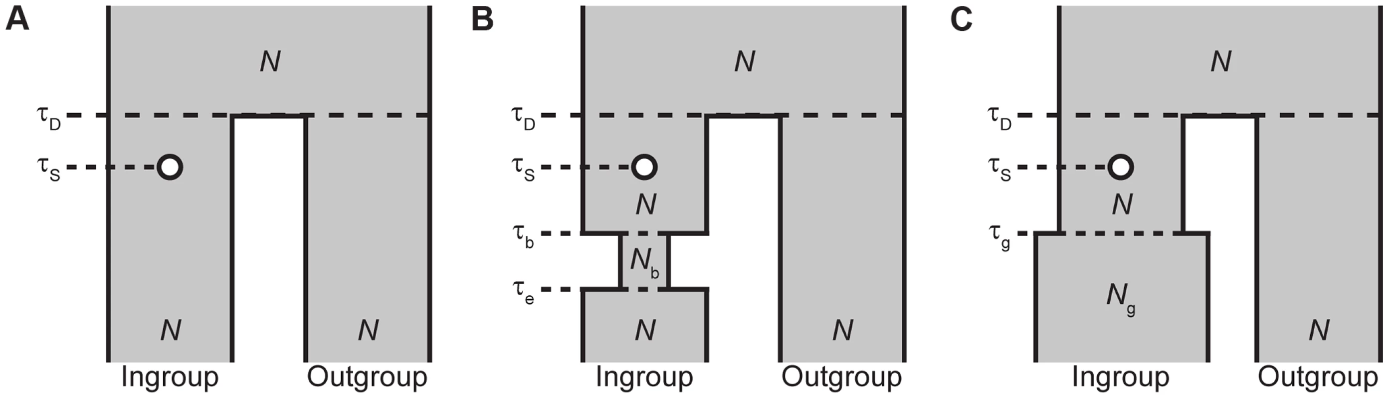 Demographic models used in simulations in which a selected allele arises after the split a pair of species.