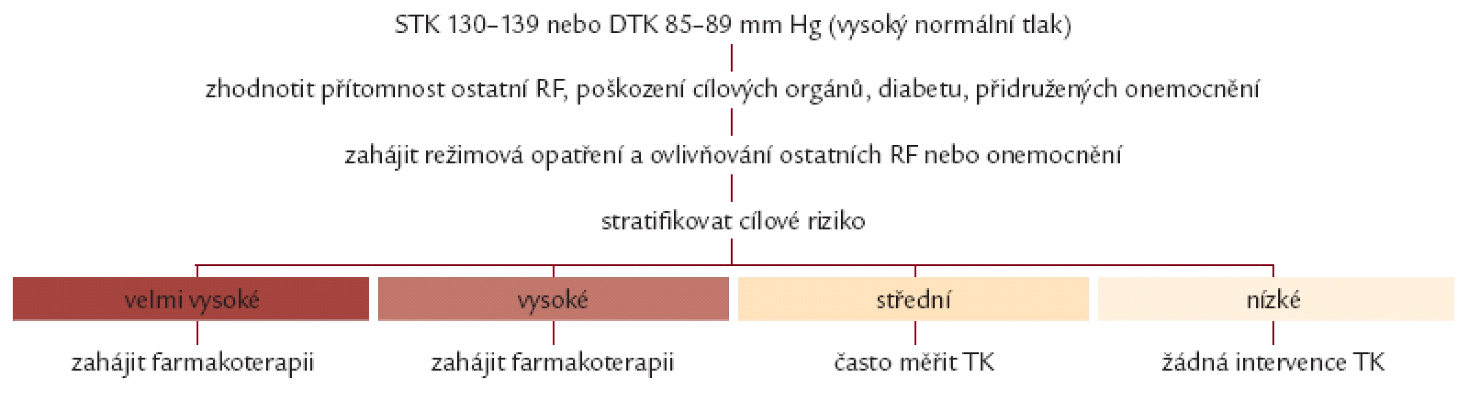 Zahájení antihypertenzní léčby.
