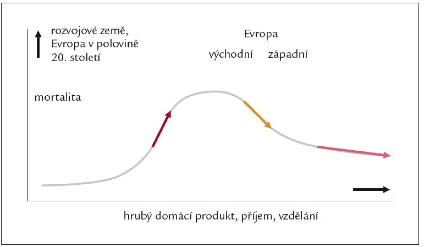 Schematické znázornění vlivu bohatství společnosti na mortalitu, zejména kardiovaskulární. Šipky v levé části křivky ukazují větší mortalitu u osob s vyšším SES, vpravo při klesající mortalitě je větší mortalita u obyvatel s nízkým SES. Na uvedeném vztahu se podílejí i infekční nemoce. Osoby s nízkým SES a společnosti s nízkým příjmem jsou jimi více ohrožené.