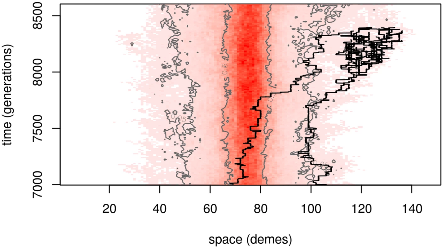 A segment of the temporal dynamics of the same simulation as <em class="ref">Fig 1B</em>.
