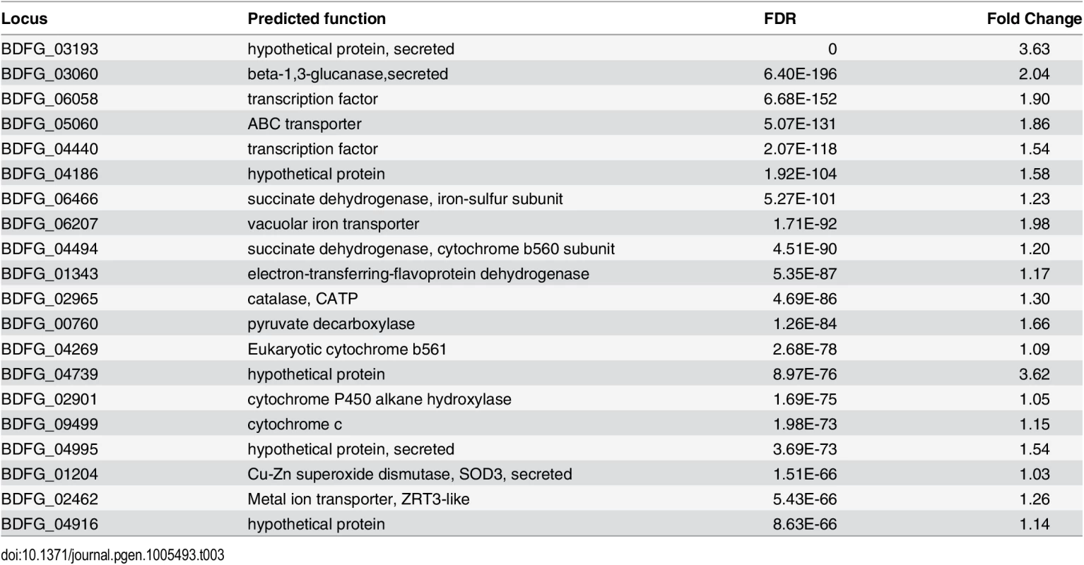 <i>Blastomyces</i> transcripts most significantly induced during macrophage infection.