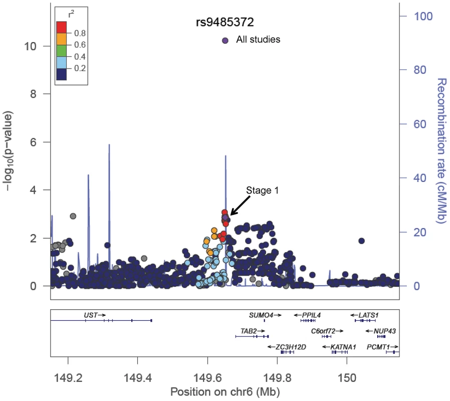 A regional plot of the −log<sub>10</sub>P-values for SNPs at 6q25.1.