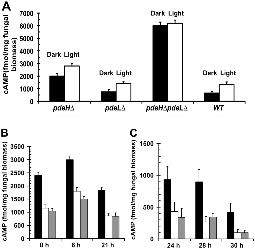 PdeH regulates the intracellular cAMP levels during growth and development in <i>M. oryzae</i>.