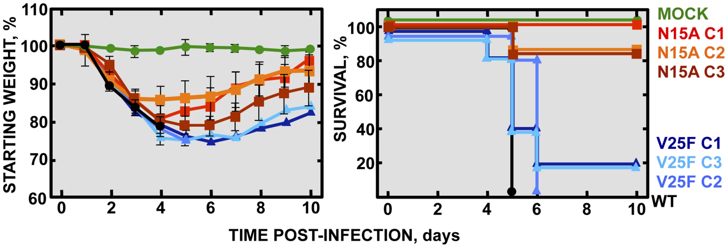 Pathogenesis caused by rSARS-CoV-EIC<sup>−</sup> in BALB/c mice.