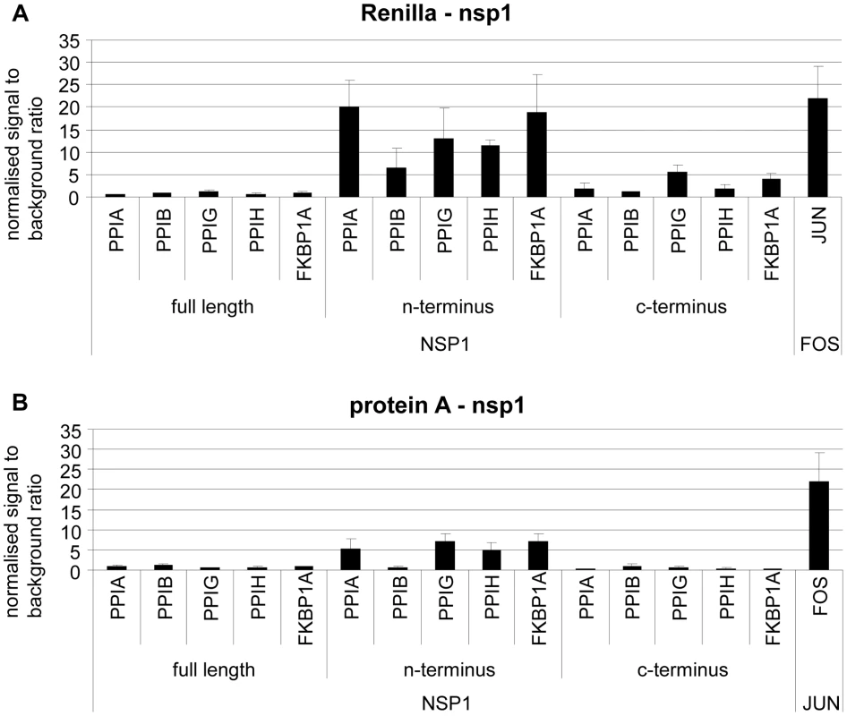 Validation of SARS-CoV Nsp1 interaction with immunophilins (cyclophilins PPIA, PPIB, PPIG, PPIH and FK506-binding protein FKBP1A) and calcipressin (RCAN3) by modified Lumier assay.