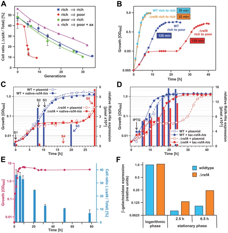 RsfA inhibits translation during both stationary phase and the transition from rich to poor media.