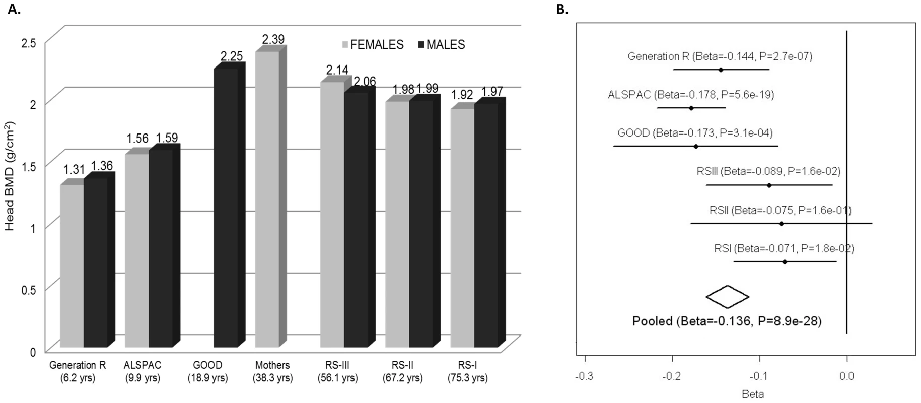 Skull-BMD across cohorts and meta-analysis.