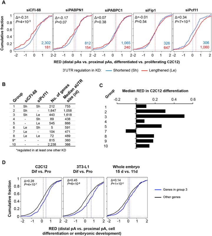 Comparison of APA events regulated by the five C/P factors with those regulated in C2C12 differentiation.