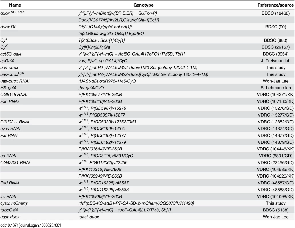 <i>Drosophila</i> strains.