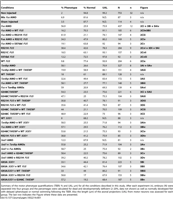 Summary of the motor phenotype quantification in the ALS matrix.