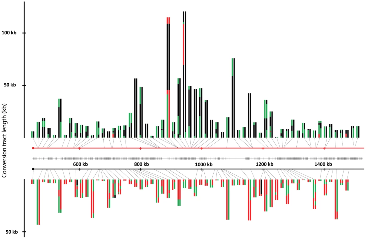 Crossovers and associated gene conversion events in JSC25 along the right arm of chromosome IV.