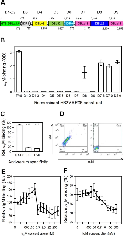 Identification and characterization of the α<sub>2</sub>M-binding domain in HB3VAR06.