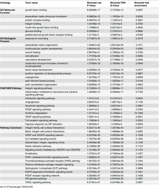 GREAT pathway terms from analysis of TCF21 Ab_Shared peaks.
