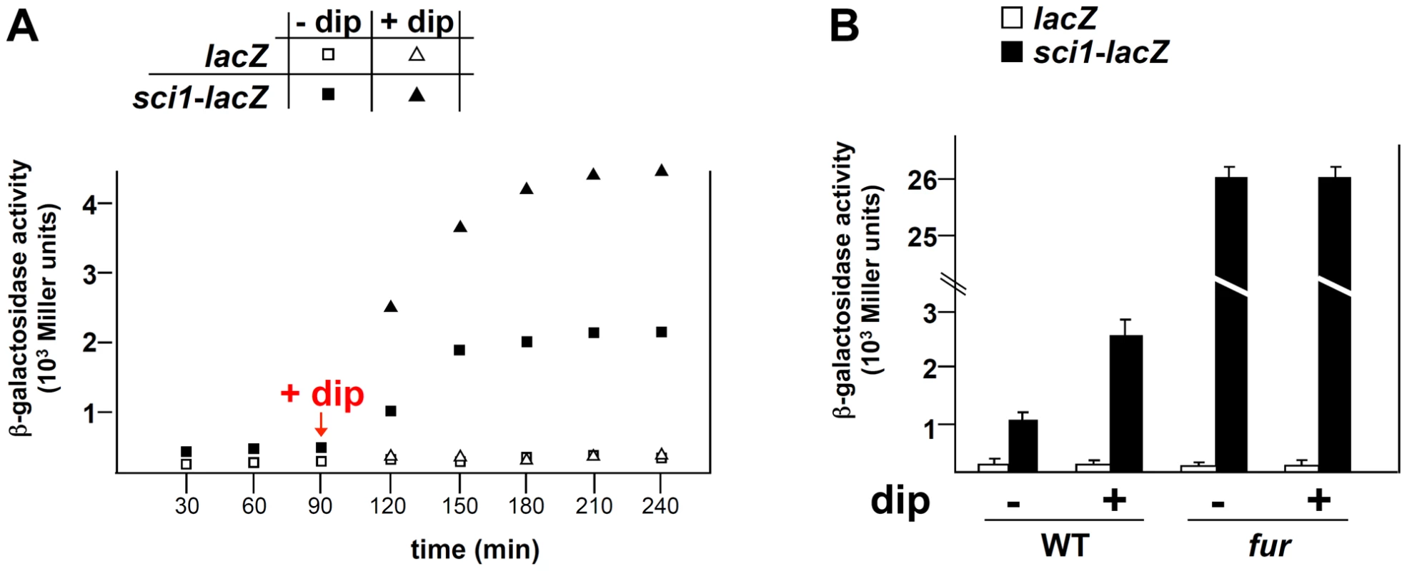 The EAEC <i>sci1</i> T6SS gene cluster is regulated by iron levels and the Fur repressor.