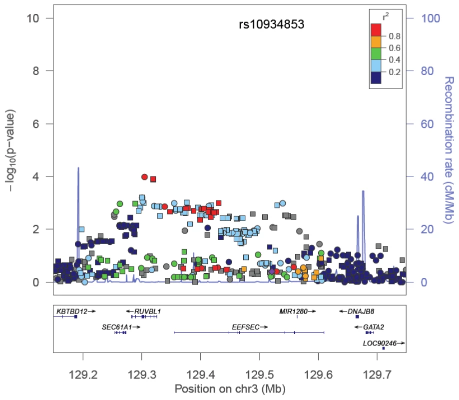−Log P Plot for Common Alleles at the Chromosome 3q21 Prostate Cancer Risk Locus.