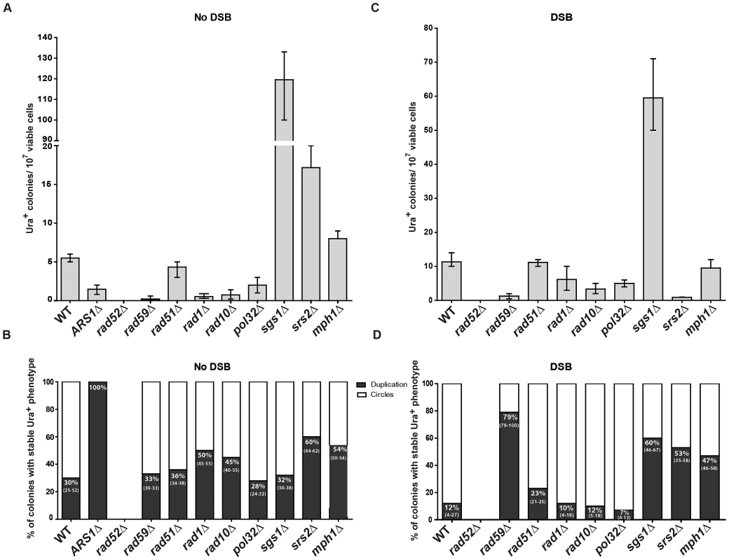 Genetic requirements for SFDA.