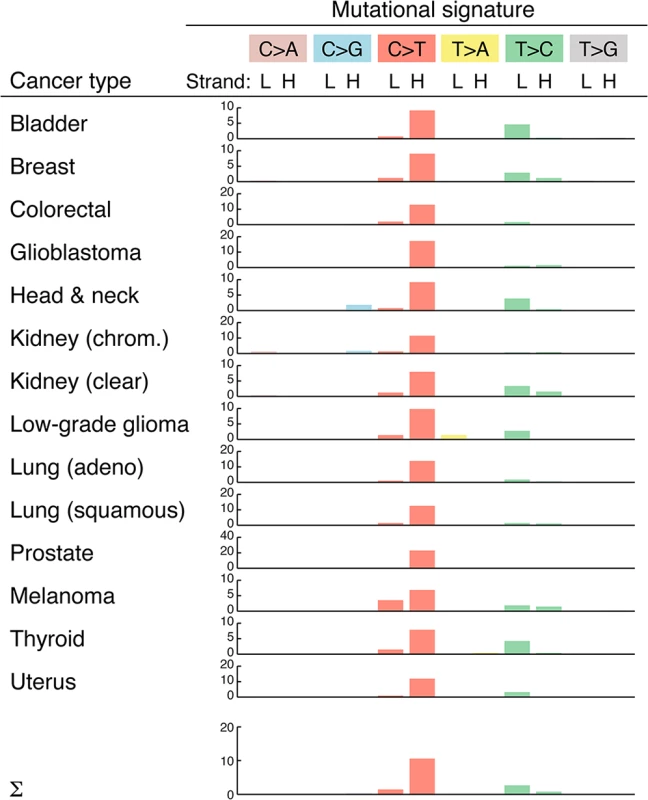 Overview of mtDNA mutational signatures.