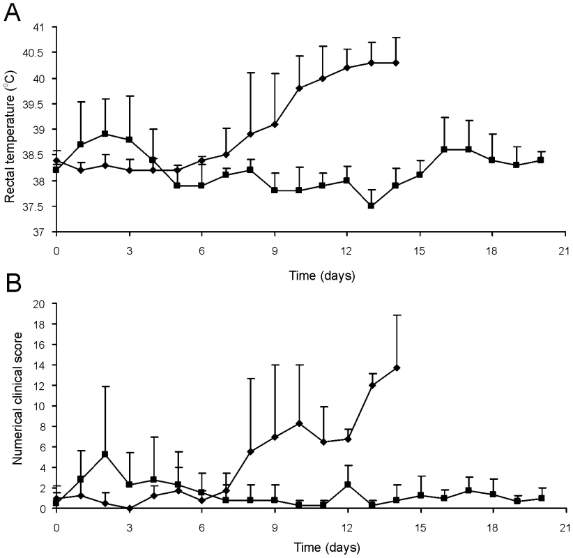Oral immunization and subsequent intratracheal challenge of foals.