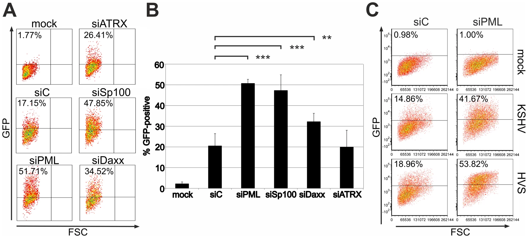 KSHV infection is restricted by PML and Sp100 but not ATRX.