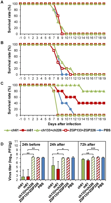 Protective efficacy of passive immunization with MAbs m61 and ch61 against HK483 in a mouse model.