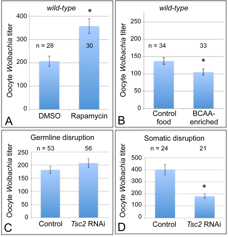 Somatic TORC1 activity affects <i>Wolbachia</i> titer in oogenesis.
