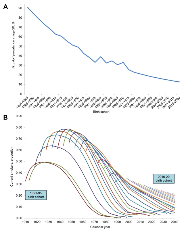 Birth cohort risk factor profiles.