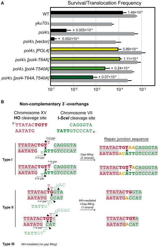 NHEJ repair types of DSBs with non-complementary ends.
