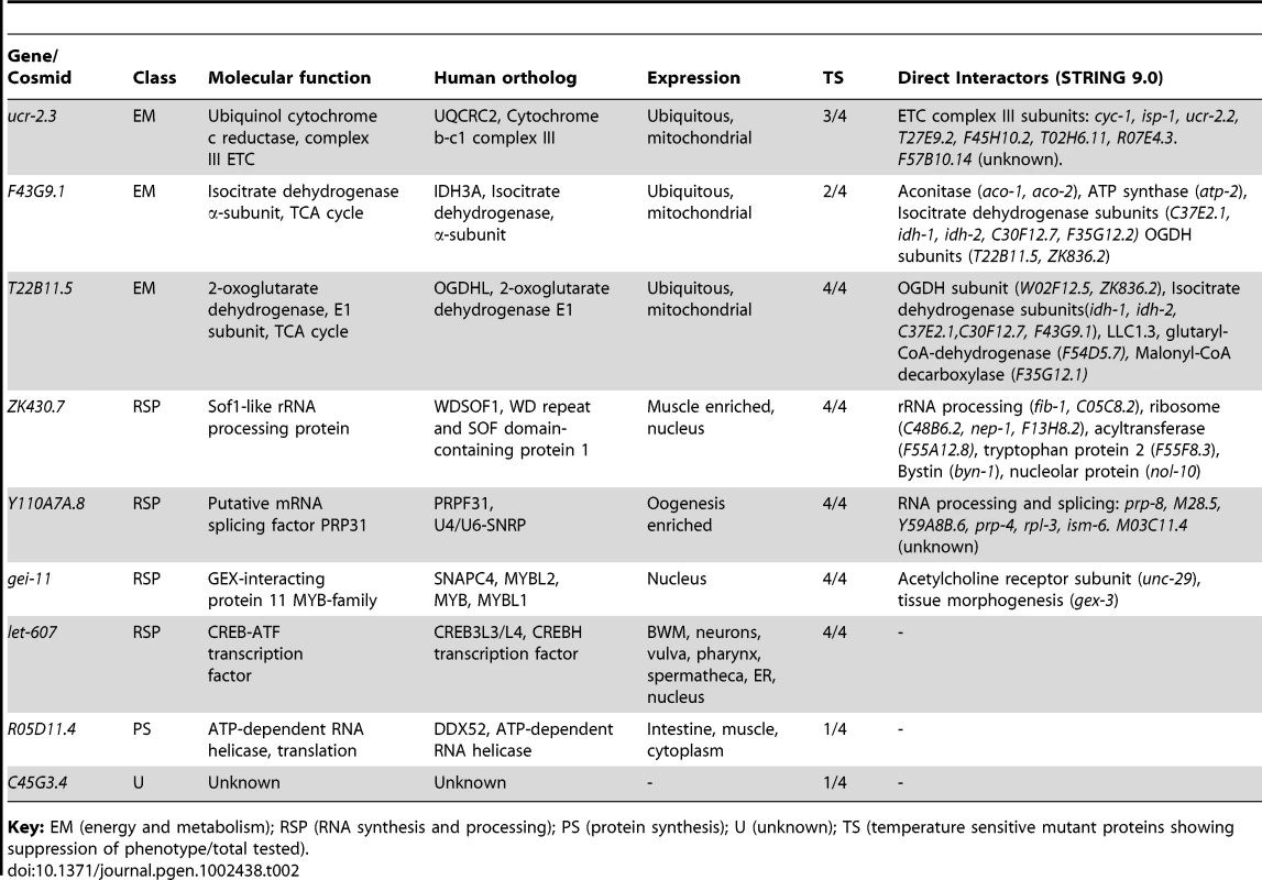 Core modulators of protein homeostasis in <i>C. elegans</i> BWM cells.
