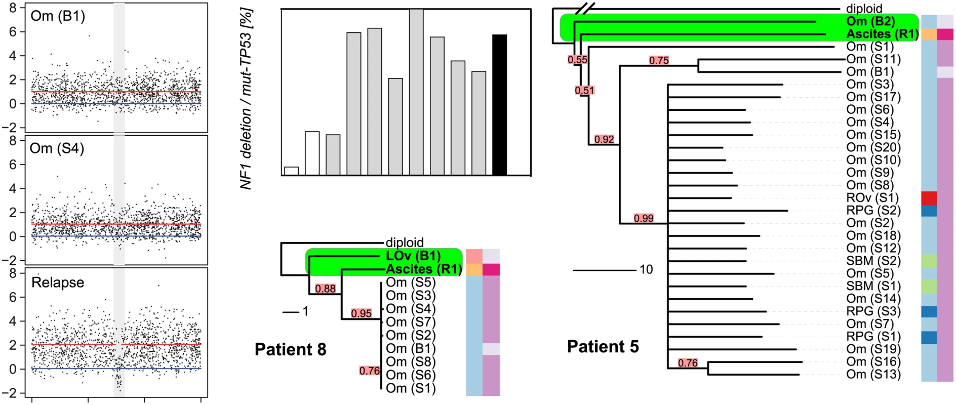 Relapse is an early diverged clonal expansion of a low-prevalence subclone of pre-treatment disease.