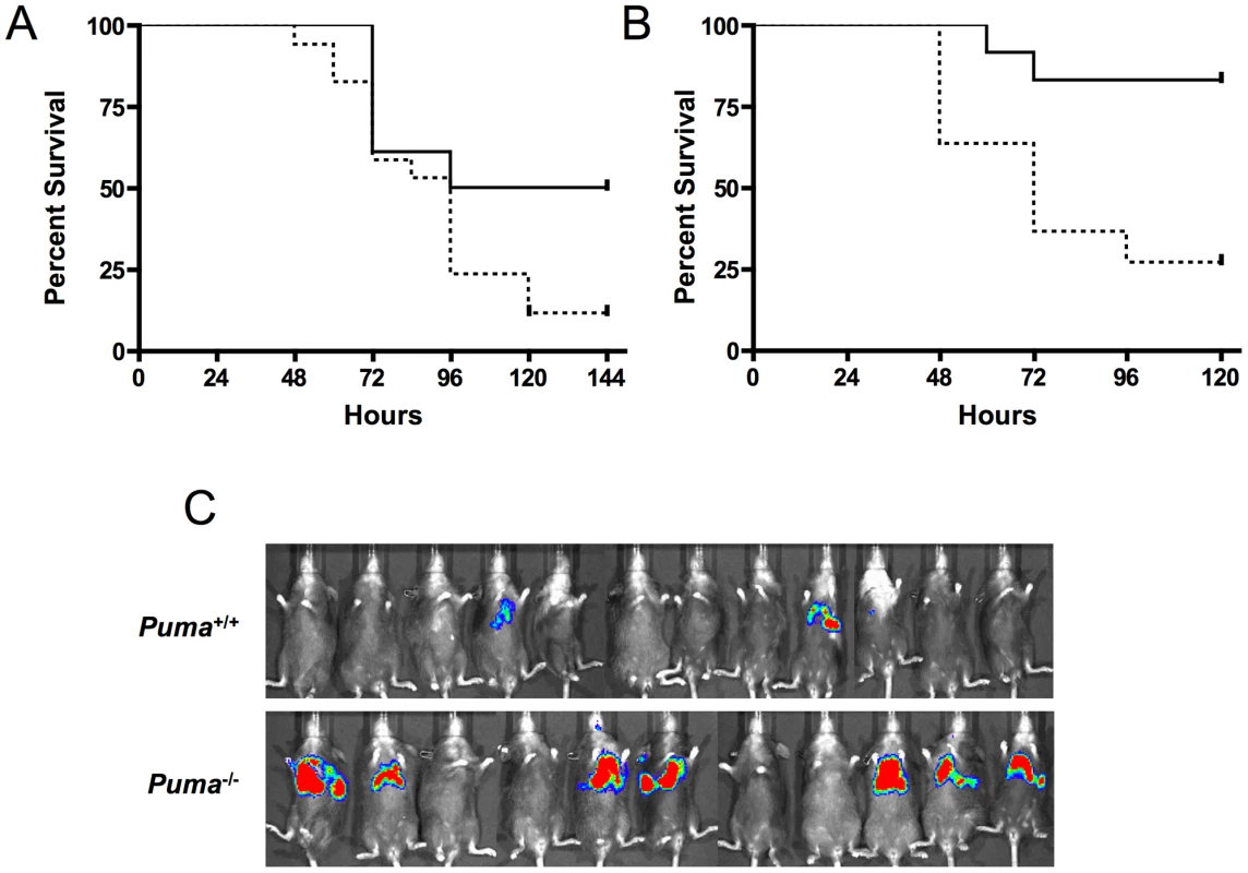 Survival of pneumococcal-infected mice deficient in p53 signaling factors.
