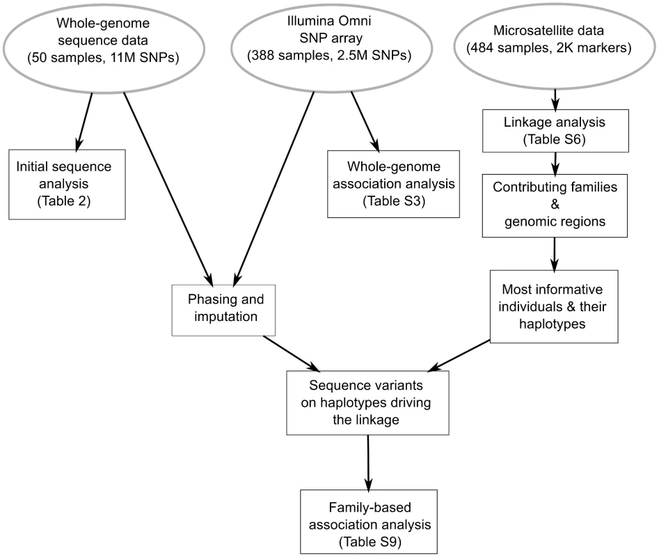 Comprehensive genetic analysis of bipolar disorder in a genetic isolate.