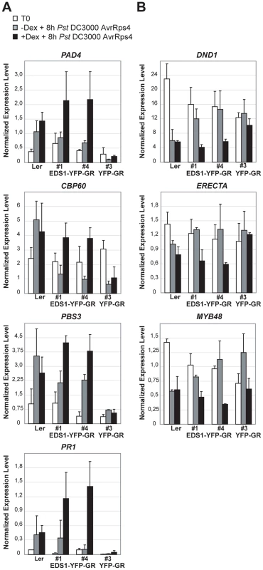 Quantitative transcript profiling of EDS1-dependent genes in EDS1-YFP-GR transgenic lines after triggering RPS4 resistance.