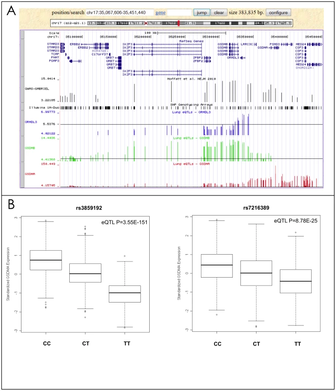 Lung eQTLs found on chromosome 17q21.