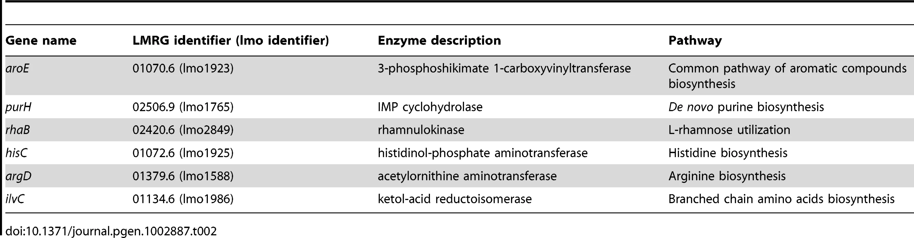The genes selected for knock out encode key enzymes in the metabolic pathways predicted to be active during intracellular growth.