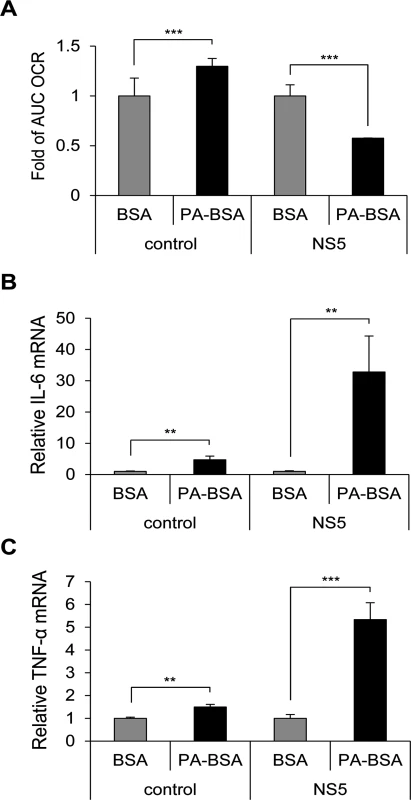 Impaired LCFA β-oxidation and cytokine induction in NS5-overexpressing cells.