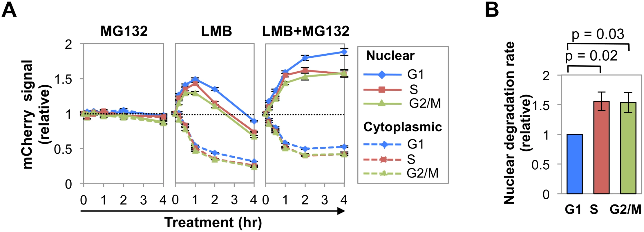 Nuclear AID is degraded more slowly in G1 phase than S-G2/M phases.