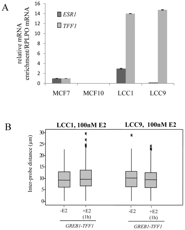 <i>TFF1</i> and <i>GREB1</i> nuclear organisation in LCC1 and LCC9 cells.